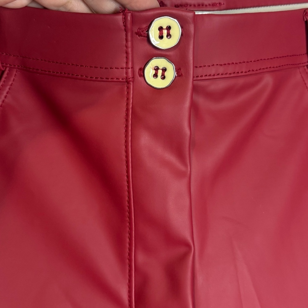Freddy WRUP Curvy Faux Leather - High Waisted - Ankle
Length Pant - Picture 7 of 12